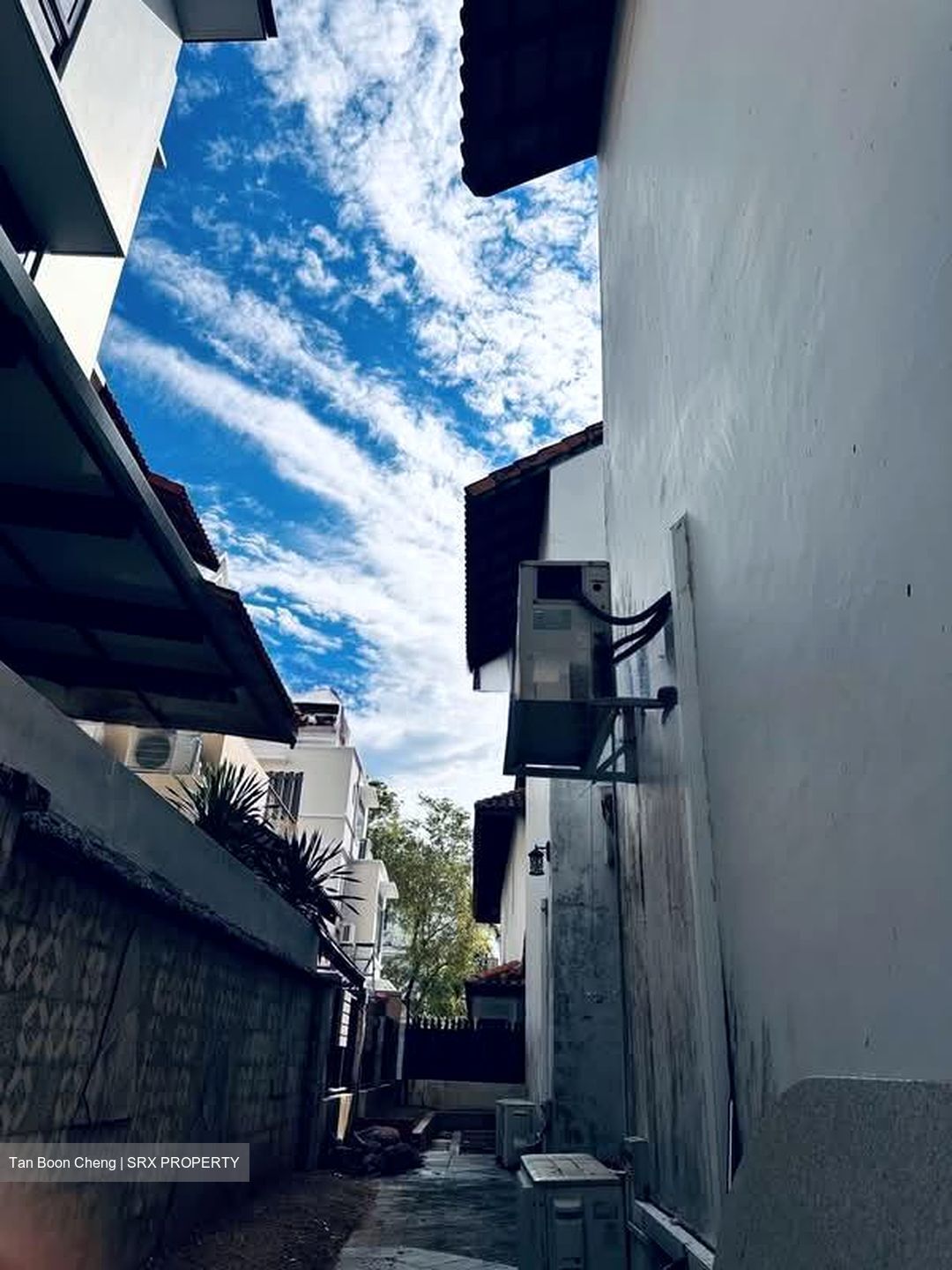 Palm Avenue (D15), Detached #561627831